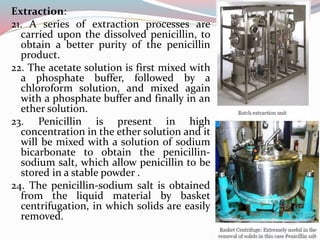 Extraction:
21. A series of extraction processes are
carried upon the dissolved penicillin, to
obtain a better purity of the penicillin
product.
22. The acetate solution is first mixed with
a phosphate buffer, followed by a
chloroform solution, and mixed again
with a phosphate buffer and finally in an
ether solution.
23. Penicillin is present in high
concentration in the ether solution and it
will be mixed with a solution of sodium
bicarbonate to obtain the penicillin-
sodium salt, which allow penicillin to be
stored in a stable powder .
24. The penicillin-sodium salt is obtained
from the liquid material by basket
centrifugation, in which solids are easily
removed.
 