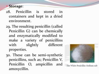  Storage:
28. Penicillin is stored in
containers and kept in a dried
environment.
29. The resulting penicillin (called
Penicillin G) can be chemically
and enzymatically modified to
make a variety of penicillins
with slightly different
properties.
30. These can be semi-synthetic
penicillins, such as; Penicillin V,
Penicillin O, ampicillin and
amoxycillin.
 