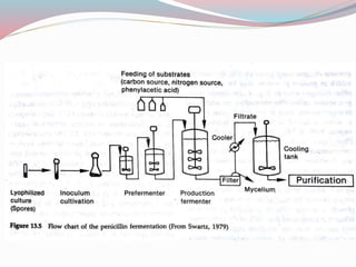 Penicillin fermentation[1]