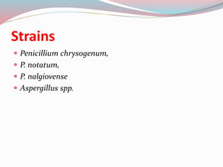 Strains
 Penicillium chrysogenum,
 P. notatum,
 P. nalgiovense
 Aspergillus spp.
 