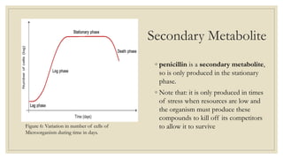 Secondary Metabolite
◦ penicillin is a secondary metabolite,
so is only produced in the stationary
phase.
◦ Note that: it is only produced in times
of stress when resources are low and
the organism must produce these
compounds to kill off its competitors
to allow it to survive
Figure 6: Variation in number of cells of
Microorganism during time in days.
 