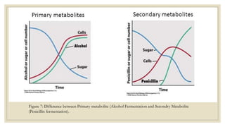 Figure 7: Difference between Primary metabolite (Alcohol Fermentation and Secondry Metabolite
(Penicillin fermentation).
 