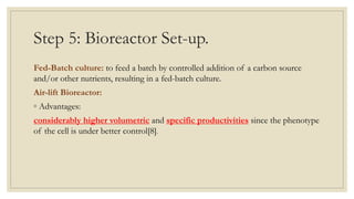 Step 5: Bioreactor Set-up.
Fed-Batch culture: to feed a batch by controlled addition of a carbon source
and/or other nutrients, resulting in a fed-batch culture.
Air-lift Bioreactor:
◦ Advantages:
considerably higher volumetric and specific productivities since the phenotype
of the cell is under better control[8].
 