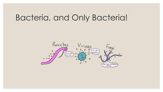 Bacteria, and Only Bacteria!
 