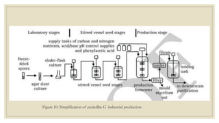 Figure 10: Simplification of penicillin G industrial production
 
