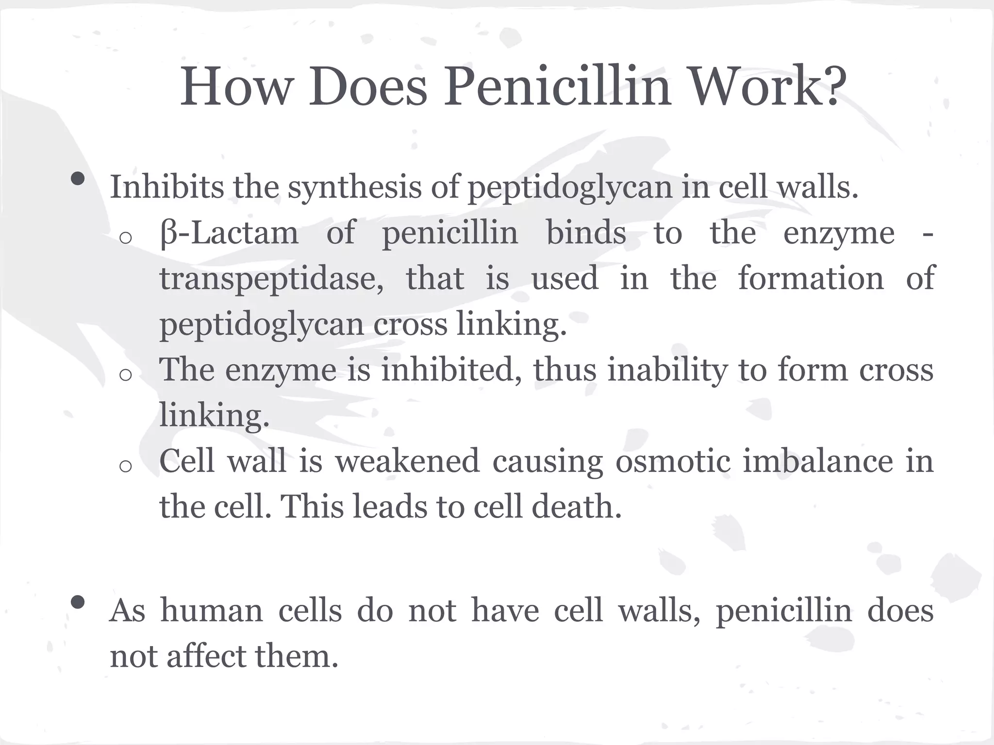 How Does Penicillin Work?
• Inhibits the synthesis of peptidoglycan in cell walls.
o β-Lactam of penicillin binds to the enzyme -
transpeptidase, that is used in the formation of
peptidoglycan cross linking.
o The enzyme is inhibited, thus inability to form cross
linking.
o Cell wall is weakened causing osmotic imbalance in
the cell. This leads to cell death.
• As human cells do not have cell walls, penicillin does
not affect them.
 