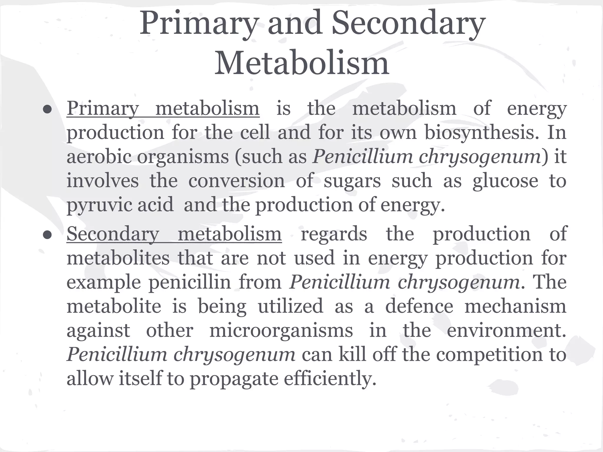 Primary and Secondary
Metabolism
● Primary metabolism is the metabolism of energy
production for the cell and for its own biosynthesis. In
aerobic organisms (such as Penicillium chrysogenum) it
involves the conversion of sugars such as glucose to
pyruvic acid and the production of energy.
● Secondary metabolism regards the production of
metabolites that are not used in energy production for
example penicillin from Penicillium chrysogenum. The
metabolite is being utilized as a defence mechanism
against other microorganisms in the environment.
Penicillium chrysogenum can kill off the competition to
allow itself to propagate efficiently.
 