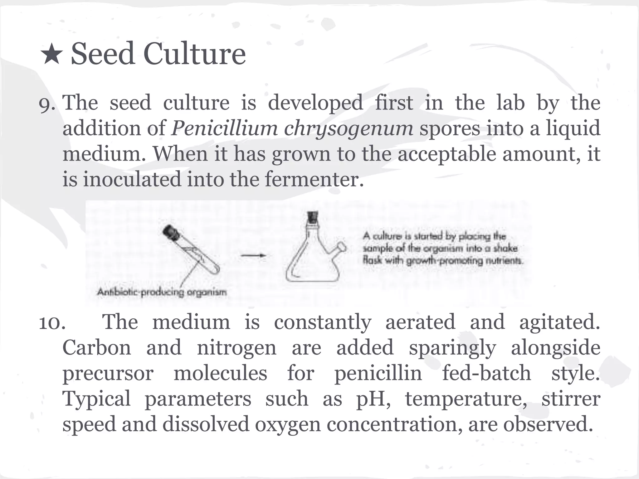 ★ Seed Culture
9. The seed culture is developed first in the lab by the
addition of Penicillium chrysogenum spores into a liquid
medium. When it has grown to the acceptable amount, it
is inoculated into the fermenter.
10. The medium is constantly aerated and agitated.
Carbon and nitrogen are added sparingly alongside
precursor molecules for penicillin fed-batch style.
Typical parameters such as pH, temperature, stirrer
speed and dissolved oxygen concentration, are observed.
 