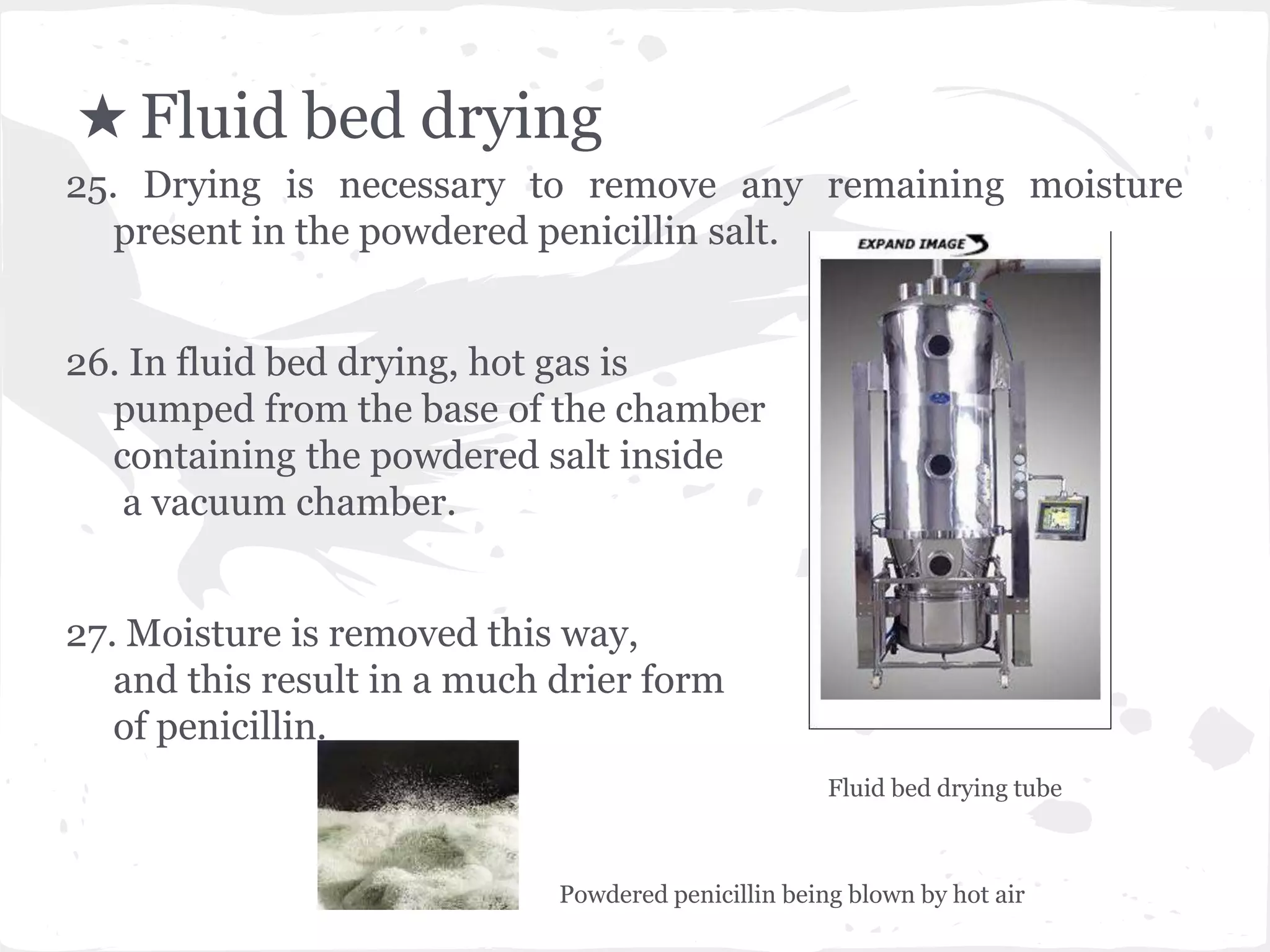 ★ Fluid bed drying
25. Drying is necessary to remove any remaining moisture
present in the powdered penicillin salt.
26. In fluid bed drying, hot gas is
pumped from the base of the chamber
containing the powdered salt inside
a vacuum chamber.
27. Moisture is removed this way,
and this result in a much drier form
of penicillin.
Fluid bed drying tube
Powdered penicillin being blown by hot air
 