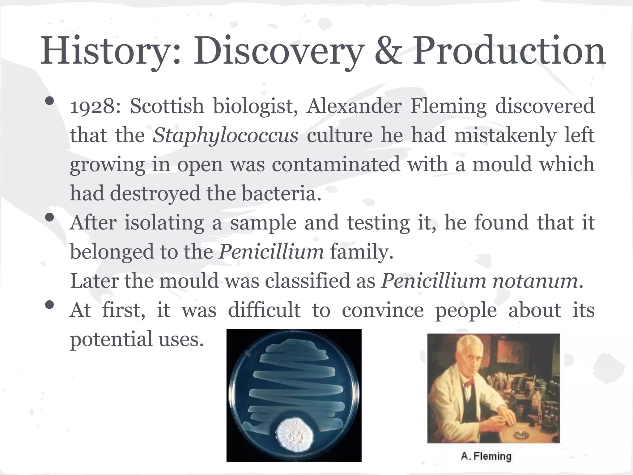 History: Discovery & Production
• 1928: Scottish biologist, Alexander Fleming discovered
that the Staphylococcus culture he had mistakenly left
growing in open was contaminated with a mould which
had destroyed the bacteria.
• After isolating a sample and testing it, he found that it
belonged to the Penicillium family.
Later the mould was classified as Penicillium notanum.
• At first, it was difficult to convince people about its
potential uses.
 