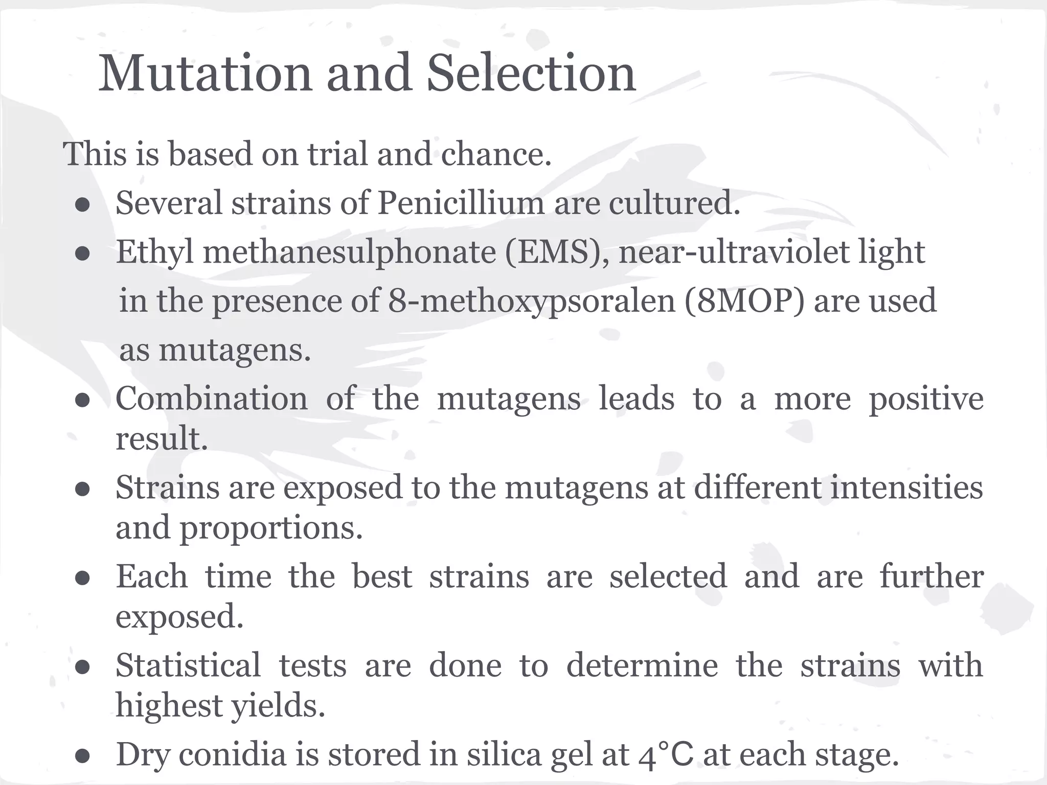 Mutation and Selection
This is based on trial and chance.
● Several strains of Penicillium are cultured.
● Ethyl methanesulphonate (EMS), near-ultraviolet light
in the presence of 8-methoxypsoralen (8MOP) are used
as mutagens.
● Combination of the mutagens leads to a more positive
result.
● Strains are exposed to the mutagens at different intensities
and proportions.
● Each time the best strains are selected and are further
exposed.
● Statistical tests are done to determine the strains with
highest yields.
● Dry conidia is stored in silica gel at 4°C at each stage.
 