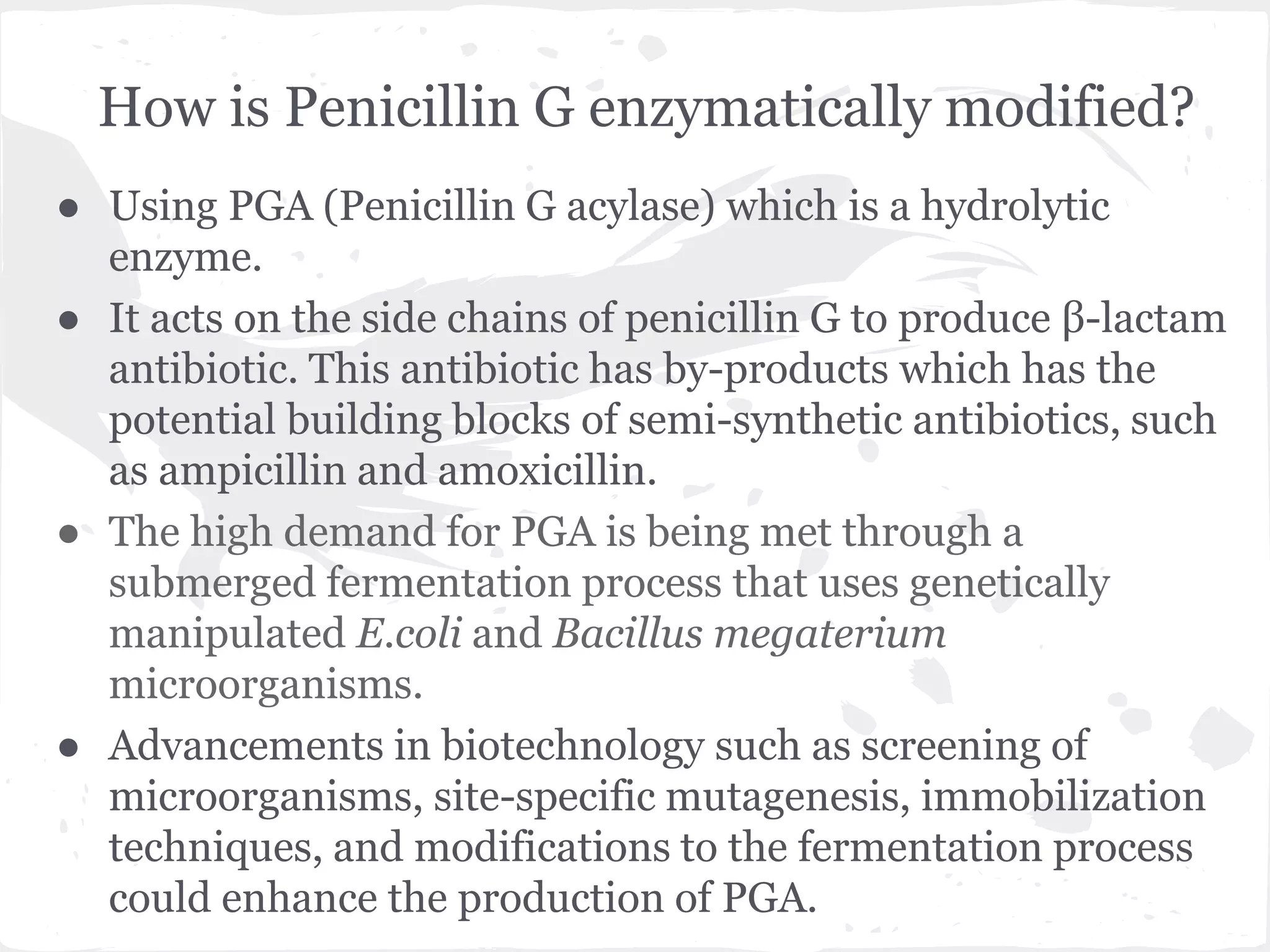 How is Penicillin G enzymatically modified?
● Using PGA (Penicillin G acylase) which is a hydrolytic
enzyme.
● It acts on the side chains of penicillin G to produce β-lactam
antibiotic. This antibiotic has by-products which has the
potential building blocks of semi-synthetic antibiotics, such
as ampicillin and amoxicillin.
● The high demand for PGA is being met through a
submerged fermentation process that uses genetically
manipulated E.coli and Bacillus megaterium
microorganisms.
● Advancements in biotechnology such as screening of
microorganisms, site-specific mutagenesis, immobilization
techniques, and modifications to the fermentation process
could enhance the production of PGA.
 