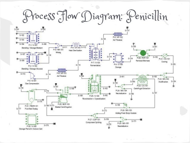 Bioprocess Flow Chart
