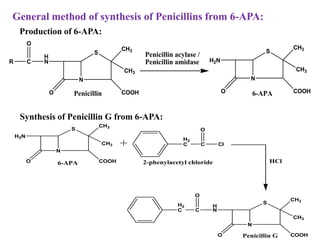 N
S
O
H
NC
O
R
Penicillin
CH3
CH3
COOH
N
S
O
H2N
6-APA
CH3
CH3
COOH
Penicillin acylase /
Penicillin amidase
General method of synthesis of Penicillins from 6-APA:
Production of 6-APA:
Synthesis of Penicillin G from 6-APA:
N
S
O
H2N
6-APA
CH3
CH3
COOH
H2
C C
O
Cl
2-phenylacetyl chloride
N
S
O
H
NC
O
H2
C
Penicillin G
CH3
CH3
COOH
HCl
 