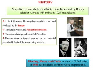 HISTORY
Penicillin, the world's first antibiotic, was discovered by British
scientist Alexander Fleming in 1928 on accident.
In 1928 Alexander Fleming discovered the compound
produced by the fungus.
 The fungus was called Penicillium notatum.
 The isolated compound he called Penicillin.
 Fleming noted a fungus growing on his bacterial
plates had killed off the surrounding bacteria.
Fleming, Florey and Chain received a Nobel prize
in 1945 for medicine for their work on penicillin.
 