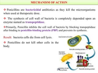 Result: bacteria cells die from cell lysis.
 Penicillins do not kill other cells in the
body.
MECHANISM OF ACTION
 Penicillins are bactericidal antibiotics as they kill the microorganisms
when used at therapeutic dose.
 The synthesis of cell wall of bacteria is completely depended upon an
enzyme named as transpeptidase.
Primarily, Penicillin inhibits the cell wall of bacteria by blocking transpeptidase
after binding to penicillin-binding protein (PBP) and prevents its synthesis.
 