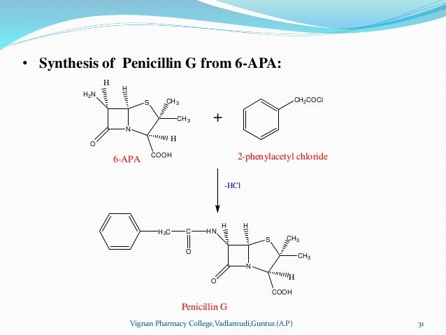 penicillins by dr panchumarthy