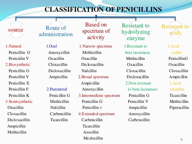 Penicillins By Dr Panchumarthy Ravisankar Mpharm Phd