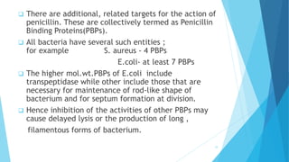  There are additional, related targets for the action of
penicillin. These are collectively termed as Penicillin
Binding Proteins(PBPs).
 All bacteria have several such entities ;
for example S. aureus - 4 PBPs
E.coli- at least 7 PBPs
 The higher mol.wt.PBPs of E.coli include
transpeptidase while other include those that are
necessary for maintenance of rod-like shape of
bacterium and for septum formation at division.
 Hence inhibition of the activities of other PBPs may
cause delayed lysis or the production of long ,
filamentous forms of bacterium.
10
 