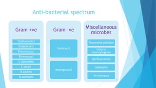 Anti-bacterial spectrum
Gram +ve
Staphylococci
Streptococci
Pneumococci
Enterococci
C.diptheriae
C.tetani
B.subtilis
B.anthracis
Gram -ve
Gonococci
Meningococci
Miscellaneous
microbes
Treponema pallidum
Listeria
monocytogenes
Spirillum minor
Leptospira
Actinomyces
12
 
