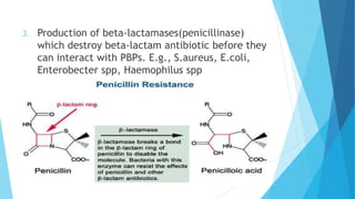 3. Production of beta-lactamases(penicillinase)
which destroy beta-lactam antibiotic before they
can interact with PBPs. E.g., S.aureus, E.coli,
Enterobecter spp, Haemophilus spp
38
 