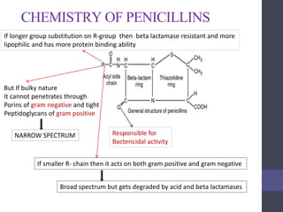 CHEMISTRY OF PENICILLINS
Responsible for
Bactericidal activity
If longer group substitution on R-group then beta lactamase resistant and more
lipophilic and has more protein binding ability
But If bulky nature
It cannot penetrates through
Porins of gram negative and tight
Peptidoglycans of gram positive
NARROW SPECTRUM
If smaller R- chain then it acts on both gram positive and gram negative
Broad spectrum but gets degraded by acid and beta lactamases
 