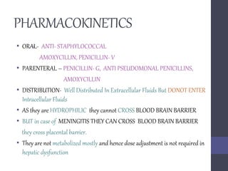PHARMACOKINETICS
• ORAL- ANTI- STAPHYLOCOCCAL
AMOXYCILLIN, PENICILLIN- V
• PARENTERAL – PENICILLIN- G, ANTI PSEUDOMONAL PENICILLINS,
AMOXYCILLIN
• DISTRIBUTION- Well Distributed In Extracellular Fluids But DONOT ENTER
Intracellular Fluids
• AS they are HYDROPHILIC they cannot CROSS BLOOD BRAIN BARRIER
• BUT in case of MENINGITIS THEY CAN CROSS BLOOD BRAIN BARRIER
they cross placental barrier.
• They are not metabolized mostly and hence dose adjustment is not required in
hepatic dysfunction
 