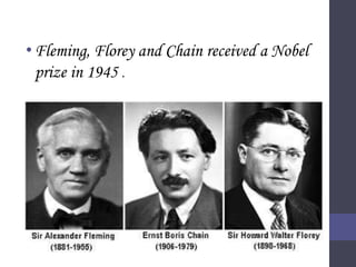 •Fleming, Florey and Chain received a Nobel
prize in 1945 .
 
