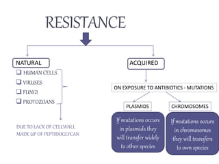 RESISTANCE
NATURAL ACQUIRED
 HUMAN CELLS
 VIRUSES
 FUNGI
 PROTOZOANS
DUE TO LACK OF CELLWALL
MADE UP OF PEPTIDOGLYCAN
ON EXPOSURE TO ANTIBIOTICS - MUTATIONS
PLASMIDS CHROMOSOMES
If mutations occurs
in plasmids they
will transfer widely
to other species
If mutations occurs
in chromosomes
they will transfers
to own species
 
