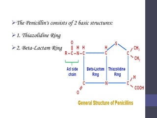 The Penicillin's consists of 2 basic structures:
1. Thiazolidine Ring
2. Beta-Lactam Ring
 