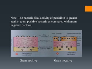 Note: The bacteriocidal activity of penicillin is greater
against gram positive bacteria as compared with gram
negative bacteria.
Gram positive Gram negative
 