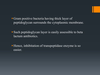 Gram positive bacteria having thick layer of
peptidoglycan surrounds the cytoplasmic membrane.
Such peptidoglycan layer is easily assessible to beta
lactum antibiotics.
Hence, inhibitation of transpeptidase enzyme is so
easier.
 