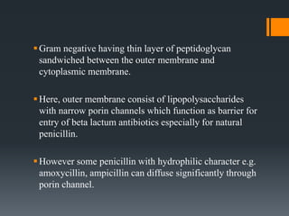 Gram negative having thin layer of peptidoglycan
sandwiched between the outer membrane and
cytoplasmic membrane.
Here, outer membrane consist of lipopolysaccharides
with narrow porin channels which function as barrier for
entry of beta lactum antibiotics especially for natural
penicillin.
However some penicillin with hydrophilic character e.g.
amoxycillin, ampicillin can diffuse significantly through
porin channel.
 
