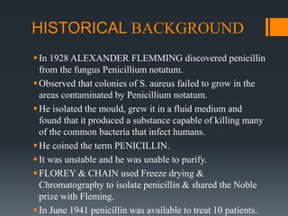 HISTORICAL BACKGROUND
In 1928 ALEXANDER FLEMMING discovered penicillin
from the fungus Penicillium notatum.
Observed that colonies of S. aureus failed to grow in the
areas contaminated by Penicillium notatum.
He isolated the mould, grew it in a fluid medium and
found that it produced a substance capable of killing many
of the common bacteria that infect humans.
He coined the term PENICILLIN.
It was unstable and he was unable to purify.
FLOREY & CHAIN used Freeze drying &
Chromatography to isolate penicillin & shared the Noble
prize with Fleming.
In June 1941 penicillin was available to treat 10 patients.
 