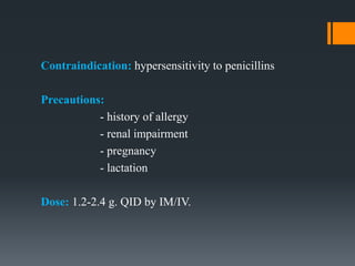 Contraindication: hypersensitivity to penicillins
Precautions:
- history of allergy
- renal impairment
- pregnancy
- lactation
Dose: 1.2-2.4 g. QID by IM/IV.
 