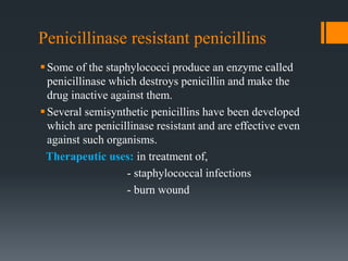 Penicillinase resistant penicillins
Some of the staphylococci produce an enzyme called
penicillinase which destroys penicillin and make the
drug inactive against them.
Several semisynthetic penicillins have been developed
which are penicillinase resistant and are effective even
against such organisms.
Therapeutic uses: in treatment of,
- staphylococcal infections
- burn wound
 