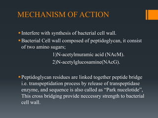 MECHANISM OF ACTION
Interfere with synthesis of bacterial cell wall.
Bacterial Cell wall composed of peptidoglycan, it consist
of two amino sugars;
1)N-acetylmuramic acid (NAcM).
2)N-acetylglucosamine(NAcG).
Peptidoglycan residues are linked together peptide bridge
i.e. transpeptidation process by release of transpeptidase
enzyme, and sequence is also called as “Park nucelotide”,
This cross bridging provide neccessry strength to bacterial
cell wall.
 