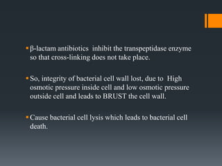 β-lactam antibiotics inhibit the transpeptidase enzyme
so that cross-linking does not take place.
So, integrity of bacterial cell wall lost, due to High
osmotic pressure inside cell and low osmotic pressure
outside cell and leads to BRUST the cell wall.
Cause bacterial cell lysis which leads to bacterial cell
death.
 