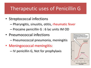 Therapeutic uses of Penicillin G
• Streptococcal infections
– Pharyngitis, sinusitis, otitis, rheumatic fever
– Procaine penicillin G : 6 lac units IM OD
• Pneumococcal infections
– Pneumococcal pneumonia, meningitis
• Meningococcal meningitis:
– IV penicillin G, Not for prophylaxis
 