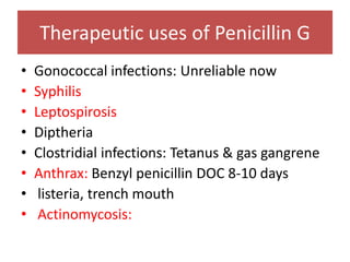 Therapeutic uses of Penicillin G
• Gonococcal infections: Unreliable now
• Syphilis
• Leptospirosis
• Diptheria
• Clostridial infections: Tetanus & gas gangrene
• Anthrax: Benzyl penicillin DOC 8-10 days
• listeria, trench mouth
• Actinomycosis:
 