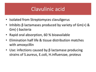 Clavulinic acid
• Isolated from Streptomyces clavuligerus
• Inhibits β lactamases produced by variety of Gm(+) &
Gm(-) bacteria
• Rapid oral absorption, 60 % bioavailable
• Elimination half life & tissue distribution matches
with amoxycillin
• Use: infections caused by β lactamase producing
strains of S.aureus, E.coli, H.influenzae, proteus
 