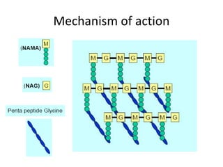 Mechanism of action
 