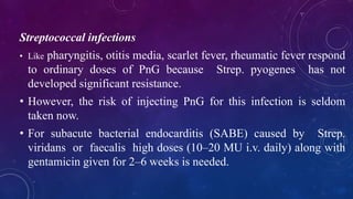 Streptococcal infections
• Like pharyngitis, otitis media, scarlet fever, rheumatic fever respond
to ordinary doses of PnG because Strep. pyogenes has not
developed significant resistance.
• However, the risk of injecting PnG for this infection is seldom
taken now.
• For subacute bacterial endocarditis (SABE) caused by Strep.
viridans or faecalis high doses (10–20 MU i.v. daily) along with
gentamicin given for 2–6 weeks is needed.
 