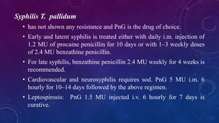 Syphilis T. pallidum
• has not shown any resistance and PnG is the drug of choice.
• Early and latent syphilis is treated either with daily i.m. injection of
1.2 MU of procaine penicillin for 10 days or with 1–3 weekly doses
of 2.4 MU benzathine penicillin.
• For late syphilis, benzathine penicillin 2.4 MU weekly for 4 weeks is
recommended.
• Cardiovascular and neurosyphilis requires sod. PnG 5 MU i.m. 6
hourly for 10–14 days followed by the above regimen.
• Leptospirosis: PnG 1.5 MU injected i.v. 6 hourly for 7 days is
curative.
 