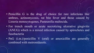 • Penicillin G is the drug of choice for rare infections like
anthrax, actinomycosis, rat bite fever and those caused by
Listeria monocytogenes, Pasteurella multocida.
• For trench mouth or acute necrotizing ulcerative gingivitis
(ANUG) which is a mixed infection caused by spirochetes and
fusobacteria
• PnG (i.m.)/penicillin V (oral) or amoxicillin are generally
combined with metronidazole.
 