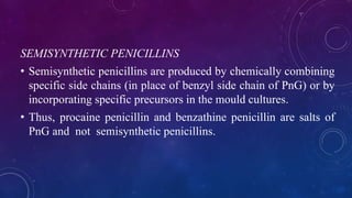 SEMISYNTHETIC PENICILLINS
• Semisynthetic penicillins are produced by chemically combining
specific side chains (in place of benzyl side chain of PnG) or by
incorporating specific precursors in the mould cultures.
• Thus, procaine penicillin and benzathine penicillin are salts of
PnG and not semisynthetic penicillins.
 