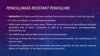 PENICILLINASE-RESISTANT PENICILLINS
• Methicillin It is highly penicillinase resistant but not acid resistant—must be injected.
• It is also an inducer of penicillinase production.
• MRSA have emerged in many areas. These are insensitive to all penicillinase-resistant
penicillins and to other β-lactams as well as to erythromycin, aminoglycosides,
tetracyclines, etc.
• The MRSA have altered PBPs which do not bind penicillins.
• The drug of choice for these organisms is vancomycin/linezolid, but ciprofloxacin can
also be used.
• Haematuria, albuminuria and reversible interstitial nephritis are the specific adverse
effects of methicillin. It has been replaced by cloxacillin.
 