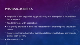 PHARMACOKINETICS
• Ampicillin is not degraded by gastric acid; oral absorption is incomplete
but adequate.
• Food interferes with absorption.
• It is partly excreted in bile and reabsorbed— enterohepatic circulation
occurs.
• However, primary channel of excretion is kidney, but tubular secretion is
slower than for PnG.
• Plasma t½ is 1 hr.
 