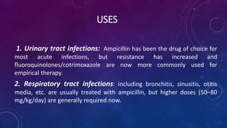 USES
1. Urinary tract infections: Ampicillin has been the drug of choice for
most acute infections, but resistance has increased and
fluoroquinolones/cotrimoxazole are now more commonly used for
empirical therapy.
2. Respiratory tract infections: including bronchitis, sinusitis, otitis
media, etc. are usually treated with ampicillin, but higher doses (50–80
mg/kg/day) are generally required now.
 