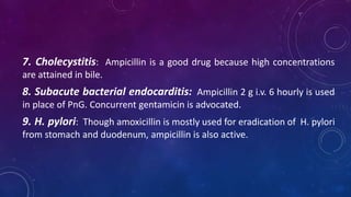 7. Cholecystitis: Ampicillin is a good drug because high concentrations
are attained in bile.
8. Subacute bacterial endocarditis: Ampicillin 2 g i.v. 6 hourly is used
in place of PnG. Concurrent gentamicin is advocated.
9. H. pylori: Though amoxicillin is mostly used for eradication of H. pylori
from stomach and duodenum, ampicillin is also active.
 